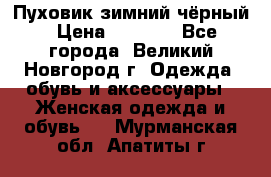 Пуховик зимний чёрный › Цена ­ 2 500 - Все города, Великий Новгород г. Одежда, обувь и аксессуары » Женская одежда и обувь   . Мурманская обл.,Апатиты г.